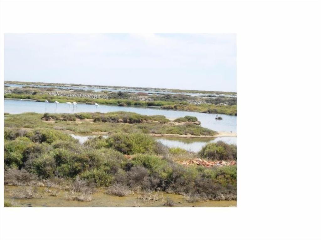 Gruissan Appartement Calme, Vue Sur Port De Plaisance -Clim, Empl.Parking Eksteriør bilde